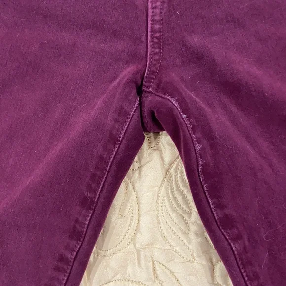 Burgundy American Eagle Skinny Jeggings - Picture 6 of 6